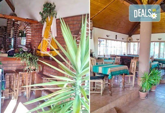 3 плата с 60 брoя солени тарталети, аранжирани и готови сервиране, от кулинарна работилница Деличи! - Снимка 2