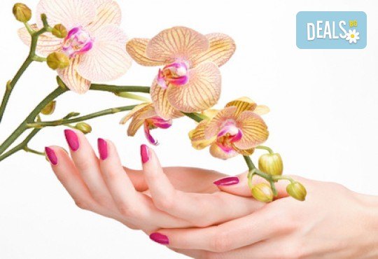 Почистване на лице и ръце на ензимно ниво, ароматерапия и масаж на цяло тяло с лечебно олио в масажно студио Дилянали - Снимка 3