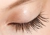 Подчертайте красотата на очите си с процедура за удължаване и сгъстяване на мигли от коприна или норка чрез 3D технология в салон Голд Бюти! - thumb 2