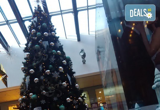 Еднодневен коледен шопинг в Констанца, Румъния, с тръгване от Варна и Балчик! Транспорт, водач и програма от ТА Ревери! - Снимка 3