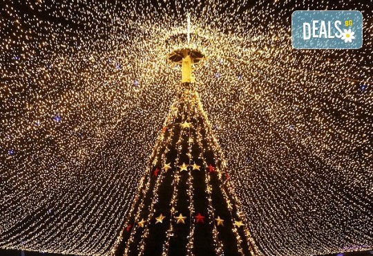 Еднодневен коледен шопинг в Констанца, Румъния, с тръгване от Варна и Балчик! Транспорт, водач и програма от ТА Ревери! - Снимка 1