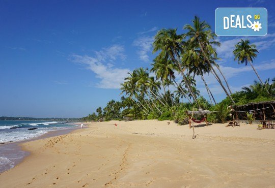 Екзотична Шри Ланка през 2018! Екскурзия със 7 нощувки, закуски и вечери, самолетен билет, трансфери, посещение на Кралската ботаническа градина, Храма на зъба, резерват за слонове и водопадите Клеър! - Снимка 5