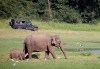 Екзотична Шри Ланка през 2018! Екскурзия със 7 нощувки, закуски и вечери, самолетен билет, трансфери, посещение на Кралската ботаническа градина, Храма на зъба, резерват за слонове и водопадите Клеър! - thumb 9