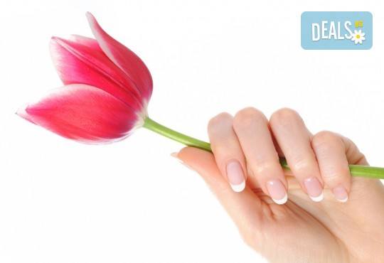 Разнообразие от цветове! Маникюр с гел лак BlueSky или Shellac в салон за красота Престиж, Яворец! - Снимка 1