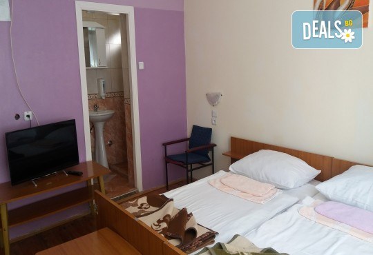 Нова година 2018 в Сокобаня, Сърбия, с Джуанна Травел! 2 или 3 нощувки във вили, All inclusive изхранване в ресторант Завода, възможност за транспорт - Снимка 14