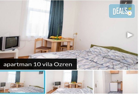 Нова година 2018 в Сокобаня, Сърбия, с Джуанна Травел! 2 или 3 нощувки във вили, All inclusive изхранване в ресторант Завода, възможност за транспорт - Снимка 8