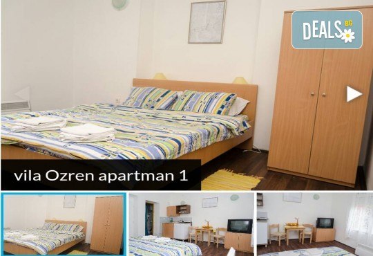 Нова година 2018 в Сокобаня, Сърбия, с Джуанна Травел! 2 или 3 нощувки във вили, All inclusive изхранване в ресторант Завода, възможност за транспорт - Снимка 9