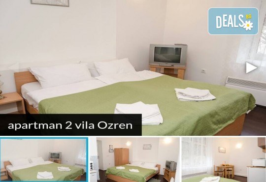 Нова година 2018 в Сокобаня, Сърбия, с Джуанна Травел! 2 или 3 нощувки във вили, All inclusive изхранване в ресторант Завода, възможност за транспорт - Снимка 10