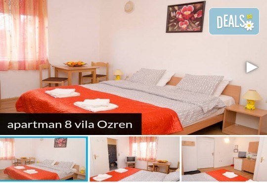 Нова година 2018 в Сокобаня, Сърбия, с Джуанна Травел! 2 или 3 нощувки във вили, All inclusive изхранване в ресторант Завода, възможност за транспорт - Снимка 11