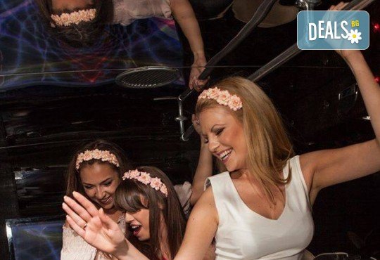За ергенско, моминско или фирмено парти! Наем на Party Bus за 1 или 2 часа, еротично денс шоу, алкохол и безалкохолни напитки - Снимка 8
