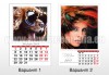За Новата година! 2 броя 13-листови календари за 2018 г. със снимки на клиента от New Face Media! - thumb 2