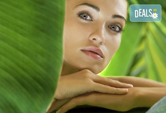 Почистване на лице и колагенова мезотерапия или антиакне терапия с био козметика на водещата немска фирма Dr. Spiller в козметично студио Beauty - Снимка 1
