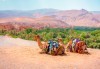 Ранни записвания за Великден в Мароко! Самолетен билет, летищни такси, трансфери, 5 нощувки със закуски и вечери в хотели 4*, туристическата програма - thumb 1