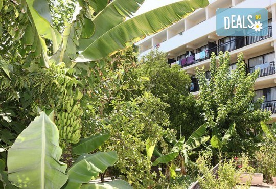 Мини почивка в Пафос, Кипър, с Ривиера Тур! Самолетен билет, 3 нощувки със закуски в хотел 3*, водач и възможност за посещение на Ларнака и Никозия - Снимка 9