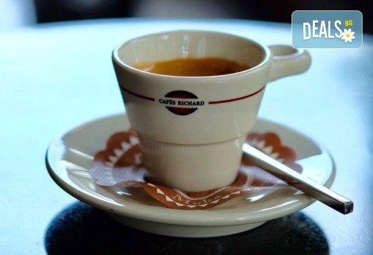 Започнете деня с чаша кафе Cafes Richard Maragogype или чай Cuida Te + екзотичен кокосов трюфел или лешников бонбон от бутик KafeMania! - Снимка 1