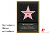 Изберете оригинален подарък в рамка - сертификат Звезда на славата, пожелание с истинска четирилистна детелинка или колаж от podarisliubov.com - thumb 6