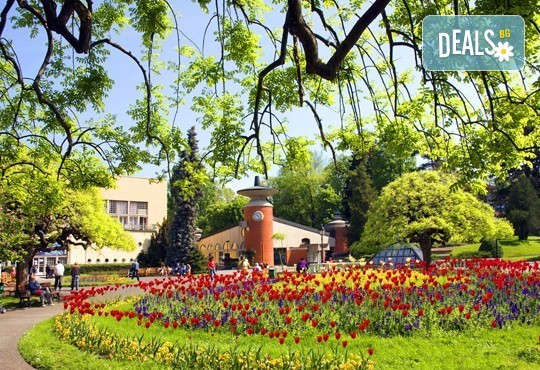 За Гергьовден в кралския град Кралево, Сърбия! 2 нощувки със закуски и 1 вечеря, транспорт, програма в Лазарев град, манастира Жича и Врънячка баня - Снимка 1