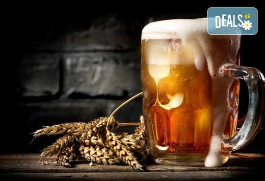 Екскурзия през август за Бирфеста в Белград, Сърбия, с ТА Солео 8! 2 нощувки със закуски в хотел 3*, транспорт и екскурзовод - Снимка 1