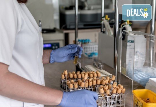 Гинекологичен преглед с ултразвуково изследване, микробиология на влагалищен секрет, течна базирана цитонамазка и HPV скрининг в Медицински център Репробиомед - Снимка 3