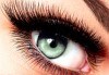 Приковаващи очи! Поставяне на 3D мигли от естествен косъм в салон за красота Женско царство - Център! - thumb 1