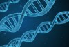 Генетичен анализ на атопичен дерматит в Геномен център и лаборатория Геника! - thumb 2