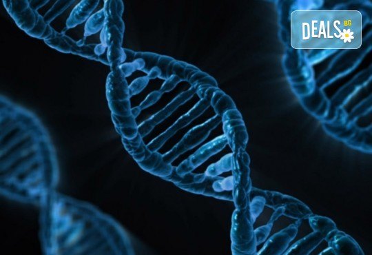 Генетичен анализ за псориазис в Геномен център и лаборатория Геника! - Снимка 2