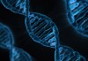 Генетичен анализ за псориазис в Геномен център и лаборатория Геника! - thumb 2