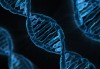 ДНК тестове за предразположеност към ендометриоза в Геномен център и лаборатория Геника! - thumb 1