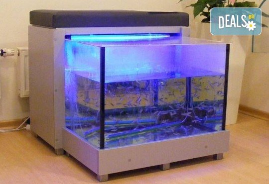 Вега тест на 199 храни и алергени, консултация и биоскенер на 220 здравни показателя на организма в NSB Beauty Center! - Снимка 7