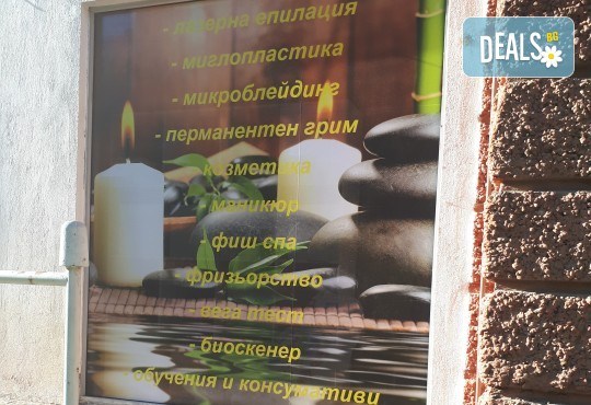 Вега тест на 199 храни и алергени, консултация и биоскенер на 220 здравни показателя на организма в NSB Beauty Center! - Снимка 9