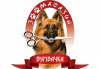 СПА пакет за Вашия домашен любимец от Art Grooming Studio Bumbachka - къпане, подстригване или цялостна промяна на кученца! - thumb 4