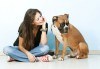 СПА пакет за Вашия домашен любимец от Art Grooming Studio Bumbachka - къпане, подстригване или цялостна промяна на кученца! - thumb 3