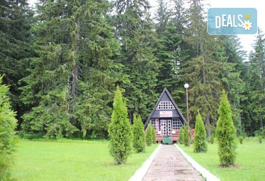 Активно лято в планината! Наем на тенис корт за 1 час или на комплект от 2 ракети с топки от Тенис клуб Боровец! - Снимка 10