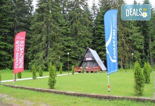 Активно лято в планината! Наем на тенис корт за 1 час или на комплект от 2 ракети с топки от Тенис клуб Боровец! - Снимка 5