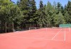 Активно лято в планината! Наем на тенис корт за 1 час или на комплект от 2 ракети с топки от Тенис клуб Боровец! - thumb 3