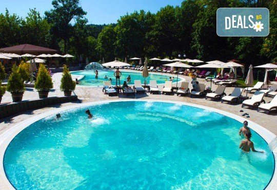 Лятно забавление за деца и възрастни! Вход за басейн с минерална вода, ползване на чадър и шезлонг в Акваленд Банкя! - Снимка 6