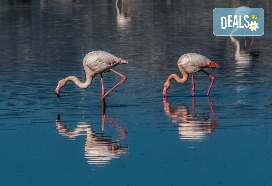 Еднодневна екскурзия на 24.06. до природния парк Керкини в Гърция - транспорт и екскурзовод от агенция Солео 8! - Снимка 4