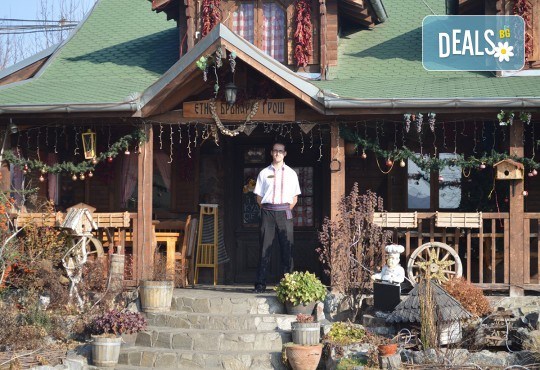 Уикенд почивка Лесковац, Сърбия, през юли! 1 нощувка със закуска и вечеря с жива музика и неограничени напитки в хотел Грош 2*, възможност за транспорт - Снимка 9