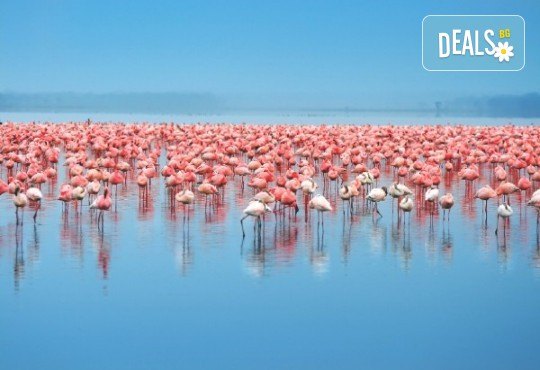 За 1 ден до природен резерват Лимни Керкини и Кукуш, Гърция! Транспорт, водач и програма от Дениз Травел! - Снимка 1