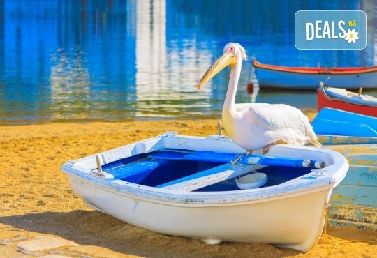 За 1 ден до природен резерват Лимни Керкини и Кукуш, Гърция! Транспорт, водач и програма от Дениз Травел! - Снимка 5