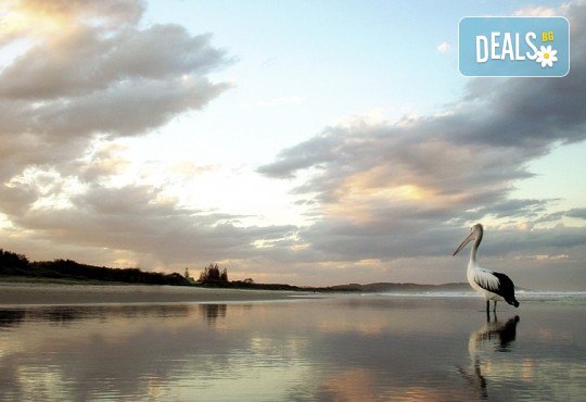 За 1 ден до природен резерват Лимни Керкини и Кукуш, Гърция! Транспорт, водач и програма от Дениз Травел! - Снимка 2