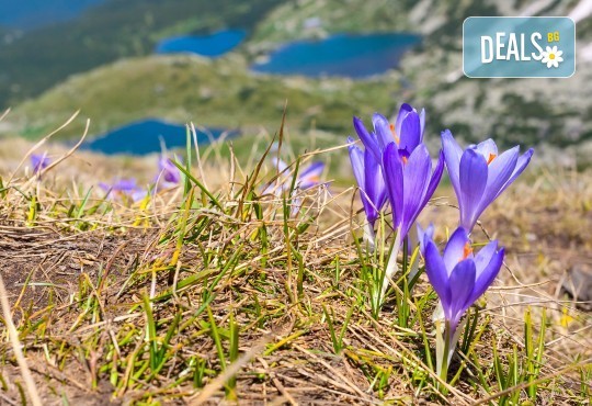 Еднодневна екскурзия до Седемте рилски езера през юли или август! Транспорт и екскурзовод от Глобул Турс! - Снимка 2