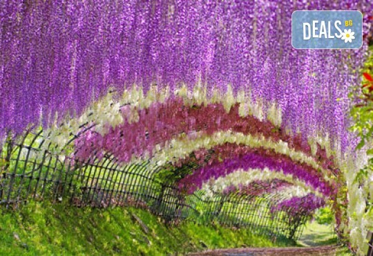 Заредете тялото и духа си с 60-минутен Японски йомейхо масаж в Massage and therapy Freerun - Снимка 2