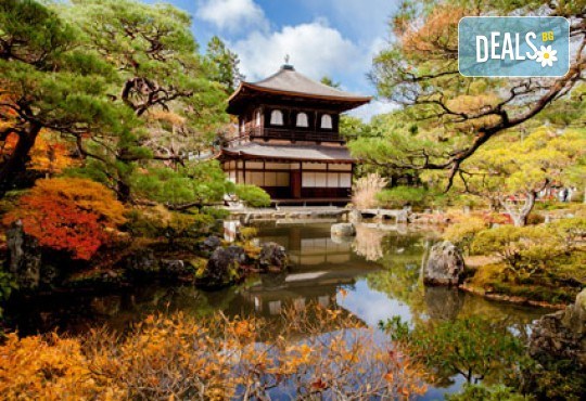 Заредете тялото и духа си с 60-минутен Японски йомейхо масаж в Massage and therapy Freerun - Снимка 3