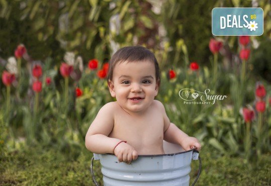 Професионална бебешка и детска фотосесия с 35 обработени кадъра на открито от If Sugar Photography! - Снимка 1