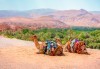 Самолетна екскурзия до Мароко през октомври с България Травъл! 6 нощувки със закуски и вечери в хотел 3*, билет, летищни такси, трансфери, водач и програма в Маракеш - thumb 1