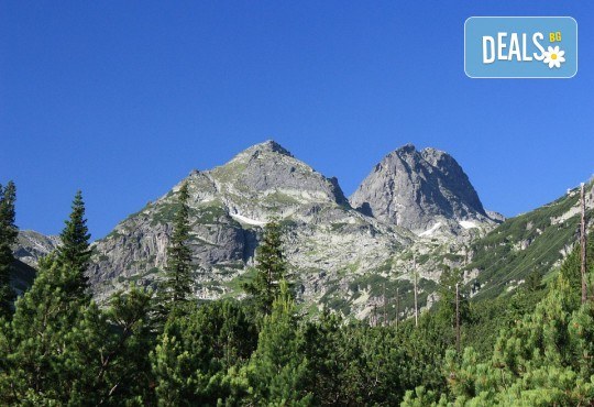 Еднодневна екскурзия през август или септември до връх Мальвица - един от най-красивите върхове в България! Tранспорт, екскурзовод и планински водач от TA Поход! - Снимка 1