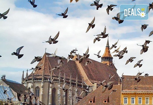 Предколедни базари в Румъния! 1 нощувка със закуска в хотел 2*/3* в Синая, транспорт, екскурзовод и възможност за посещение на Бран и Брашов! - Снимка 9