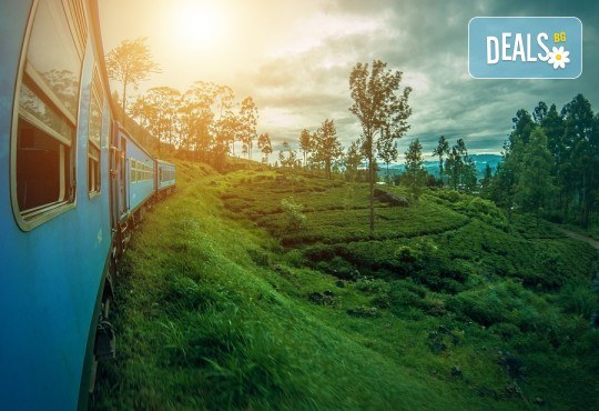 Екскурзия до Шри Ланка с Дари Тур! 7 нощувки със закуски и вечери, самолетен билет, трансфери, посещение на резерват за слонове, Сигирия, Дамбула, Храм Канди и още! - Снимка 9