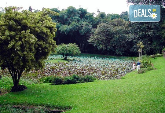 Екскурзия до Шри Ланка с Дари Тур! 7 нощувки със закуски и вечери, самолетен билет, трансфери, посещение на резерват за слонове, Сигирия, Дамбула, Храм Канди и още! - Снимка 8